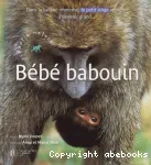 Bébé babouin