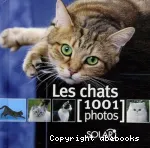 Les chats