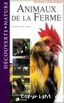 Animaux domestiques. Animaux de la ferme