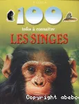 100 infos à connaître : les singes