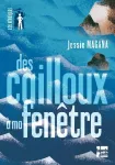 Des cailloux à ma fenêtre