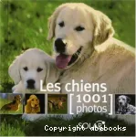 Les chiens