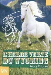 L'herbe verte du Wyoming